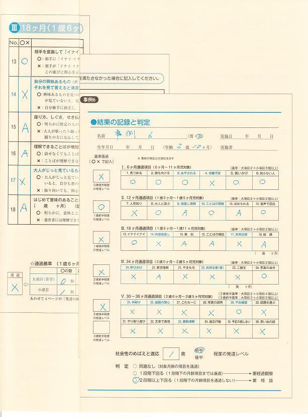 検査用紙例 27%.JPG