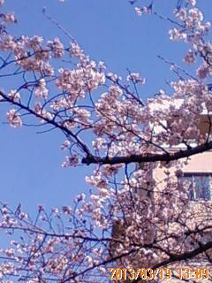 201303191309.jpg